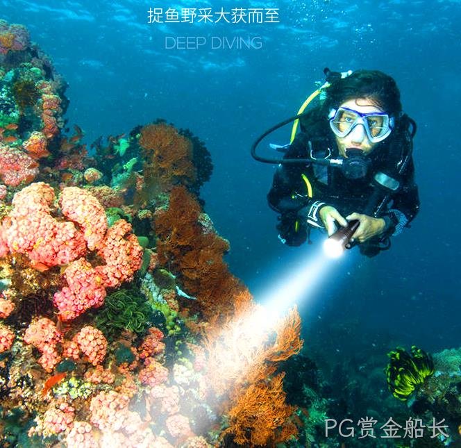 潜水手电筒中霍尔IC的工作原理